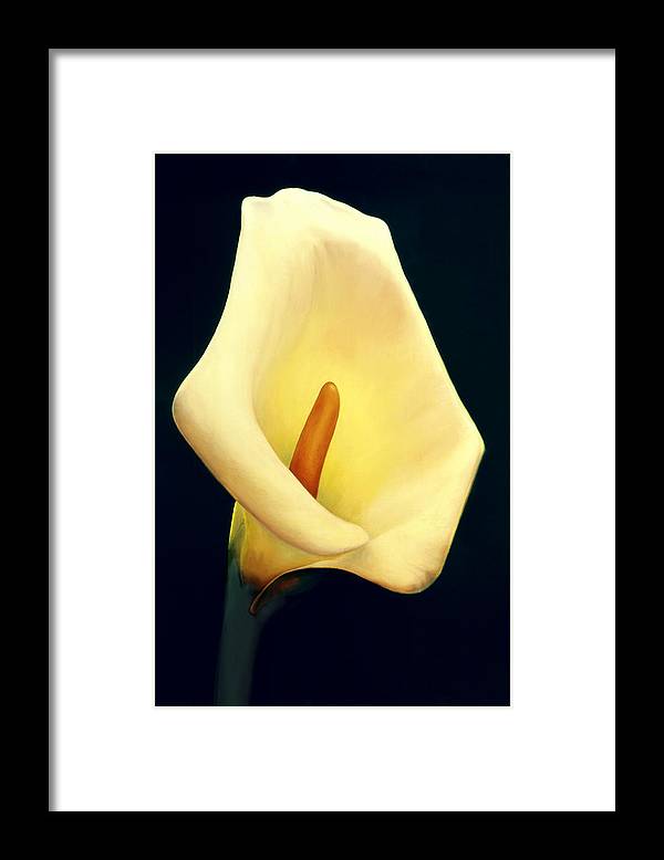 CallaLilly Framed