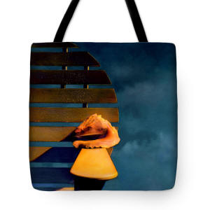 Tote Bag  The Shell and the Stom by Joe Hoover & Anni Adkins