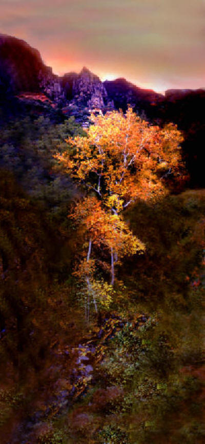 Oak Creek Canyon Color Photograph by Joe Hoover