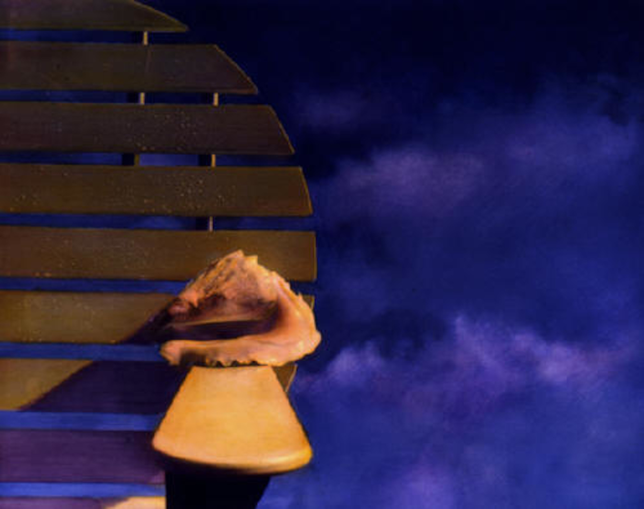 The Shell & The Storm tinted photo by Joe Hoover and Anni Adkins