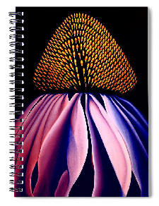 Journal, Notebook Echinacea by artist Anni