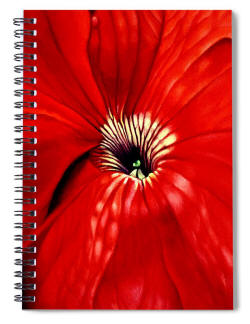 notebook petuna