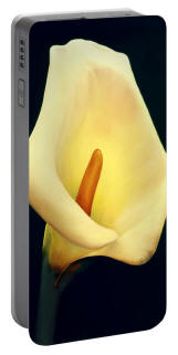 Calla Lilly phone charger