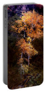 Phone Charger - Oak Creek Canyon Color Photograph by Joe Hoover