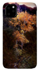 Phone Case - Oak Creek Canyon Color Photograph by Joe Hoover