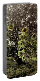 Cell Phone Charger - Summer's Last Dance Sunflowers by Joe Hoover and Anni Adkins