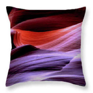 Throw Pillow Antelope Waves by Joe Hoover
