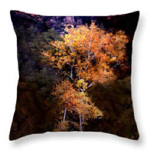 Decorative Pillow - Oak Creek Canyon Color Photograph by Joe Hoover