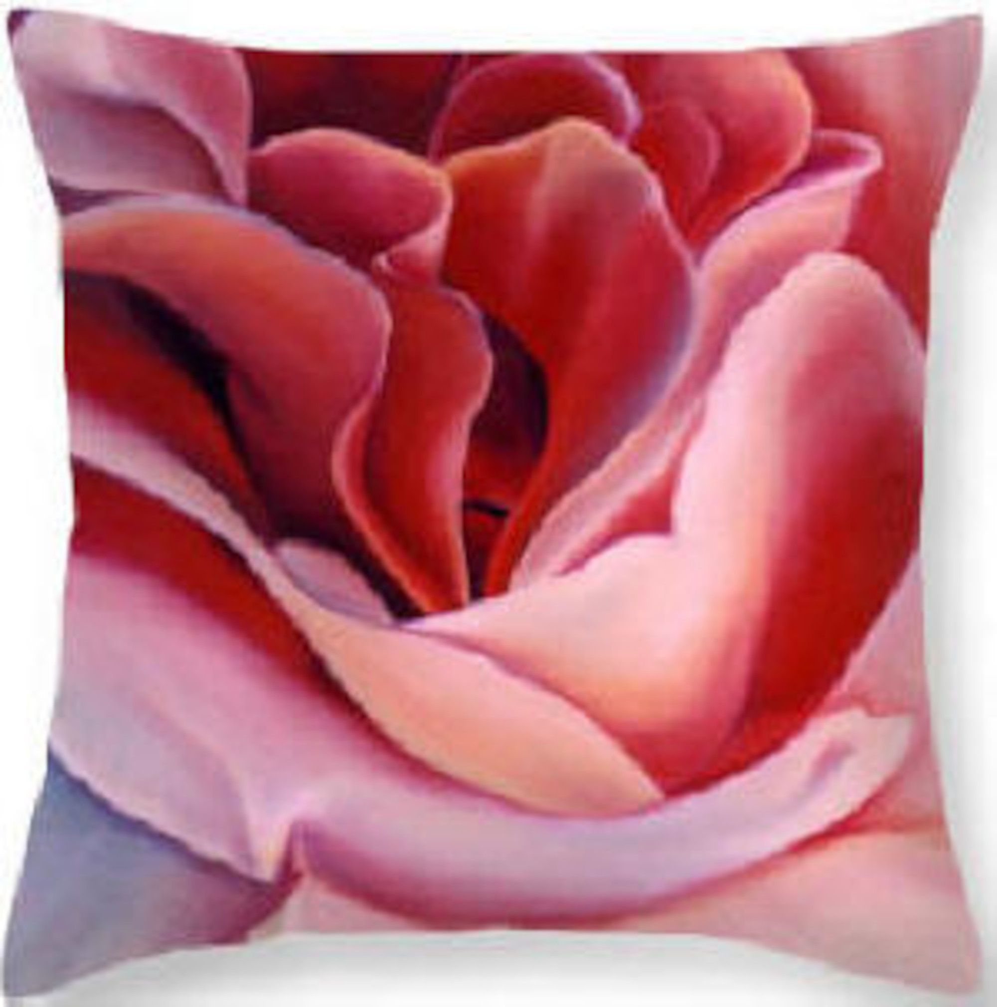 throw pillow Peach Rose Pillow by anni adkins