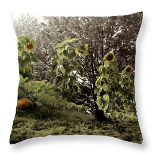 Decor Pillow - Summer's Last Dance Sunflowers by Joe Hoover and Anni Adkins