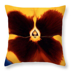 Designer Throw Pillow - Yellow Pansy by Anni Adkins