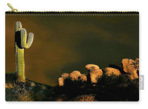 Carry All Pouch Joe Hoover Scottsdale Cactus
