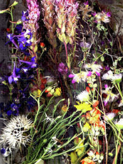 Jigsaaw Puzzle - Sedona Wildflowers photograph by Joe Hoover
