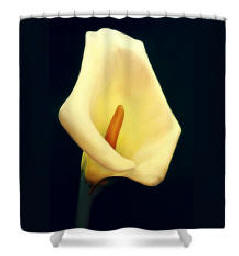 Shower Curtain Calla Lily By artist Anni