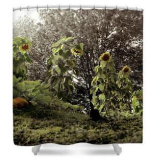 Shower Curtain - Summer's Last Dance Sunflowers by Joe Hoover and Anni Adkins