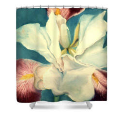 shower curtain white iris