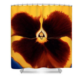 Shower Curtain - Yellow Pansy by Anni Adkins