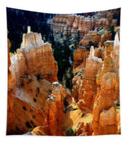 Tapestry - Bryce Canyon Morning by Joe Hoover