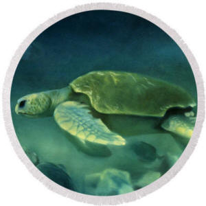 Round Beach Towel - Loggerhead Turtle