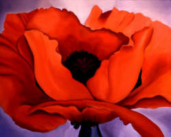 Gerogia O'keeffe Poppy - Tapestry by Anni Adkins