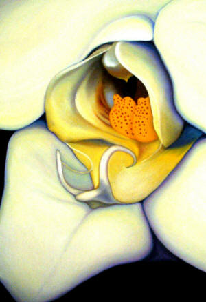 Orchid Painting by Anni Adkins
