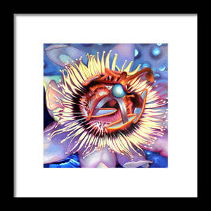 passion flower framed