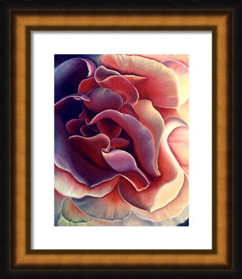 the rose framed