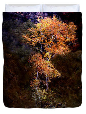 Duvet Cover - Oak Creek Canyon Color Photograph by Joe Hoover