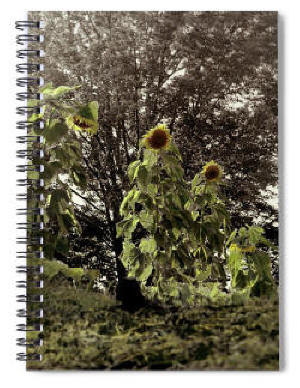 Spiral Notebook - Summer's Last Dance Sunflowers by Joe Hoover and Anni Adkins