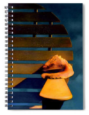 Spiral Notebook The Shell and the Stom by Joe Hoover & Anni Adkins