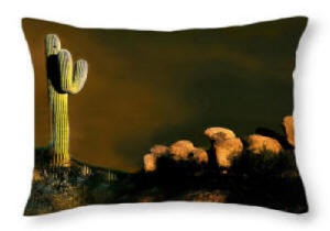Decorative Pillow, Scottsdale Cactus byJoe Hoover