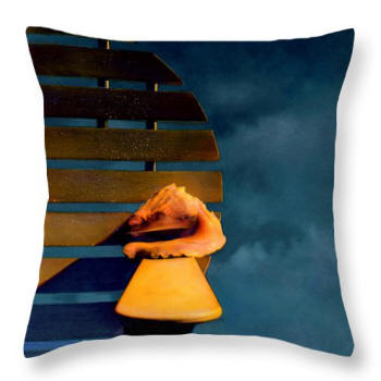 Designer Throw Pillow The Shell and the Stom by Joe Hoover & Anni Adkins
