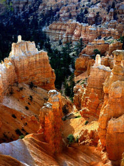 Jigsaw Puzzle - Bryce Canyon Color Photo by Joe Hoover