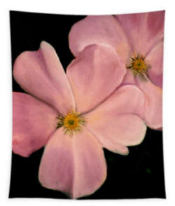 Tapestry - Two Dogwood Flowrs  painted by Anni Adkins