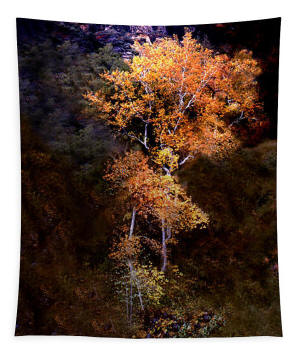Tapestry - Oak Creek Canyon Color Photograph by Joe Hoover
