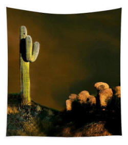 Desert Cactus -  Tapestry by Joe Hoover